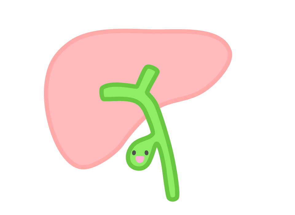 胆のう・胆管の病気